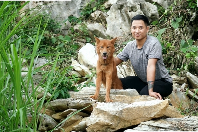 Chó Lài Sông Mã biểu lộ lòng trung thành với chủ nhân