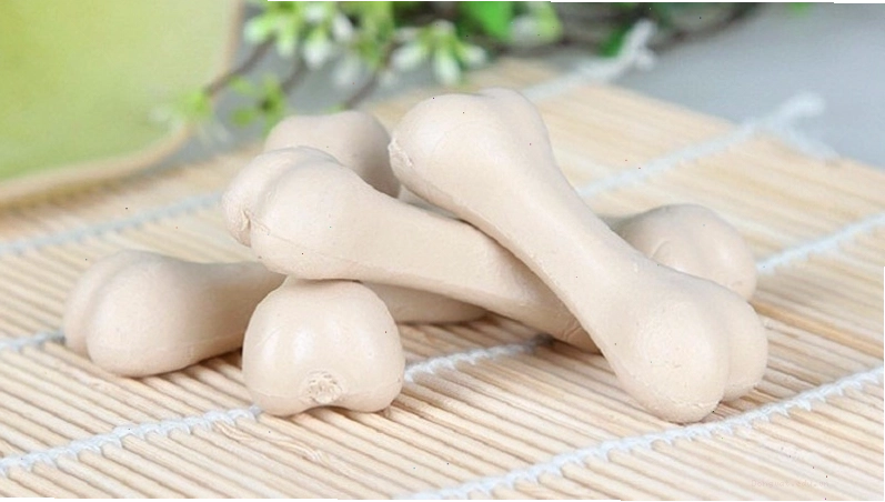 Chú chó đang vui vẻ gặm một chiếc xương trắng sạch sẽ