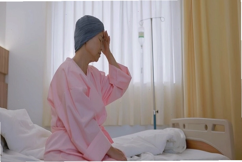 Chưa có nghiên cứu khoa học chứng minh về khả năng trị bệnh ung thư của cây thạch anh