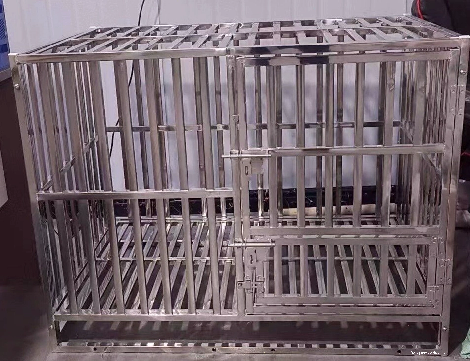Chuồng chó inox vuông vắn, chắc chắn