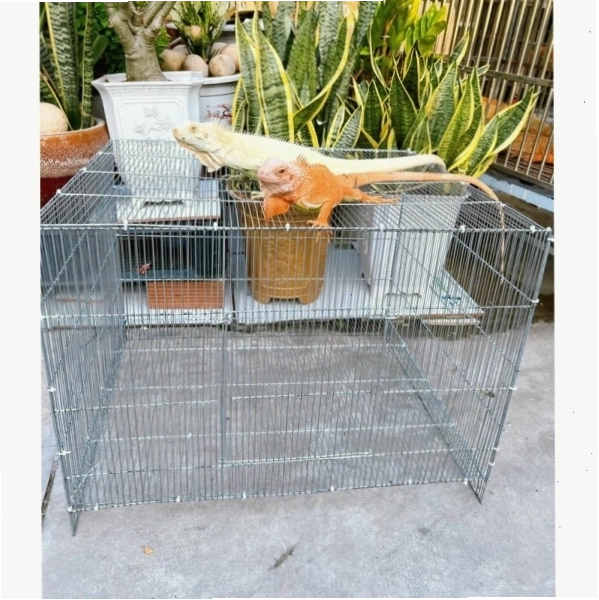 Chuồng nuôi Iguana kích thước 60x40x45cm phù hợp cho Iguana non