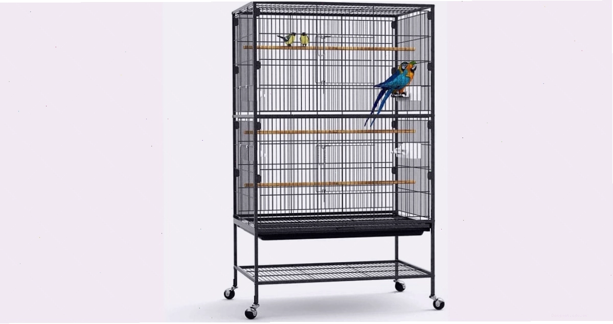 Chuồng nuôi vẹt Nam Mỹ sạch sẽ và thoáng đãng