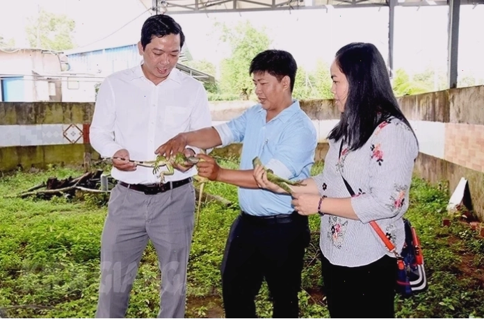 Chuyên gia kiểm tra kỳ tôm
