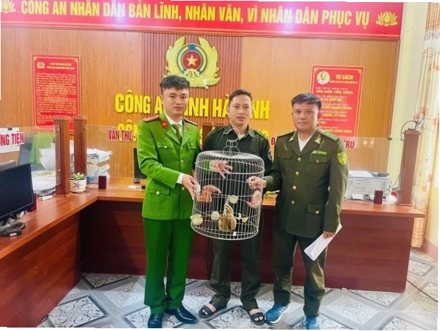 Cu li nhỏ nguy cấp trong môi trường tự nhiên