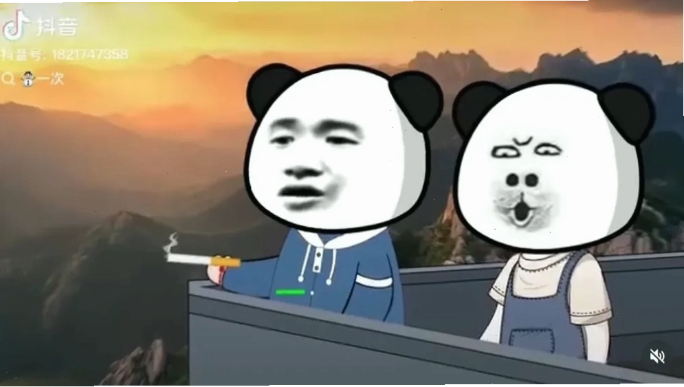Cười ngất với 130 Meme Gấu Trúc Weibo bựa lầy lội, dễ thương và hài hước