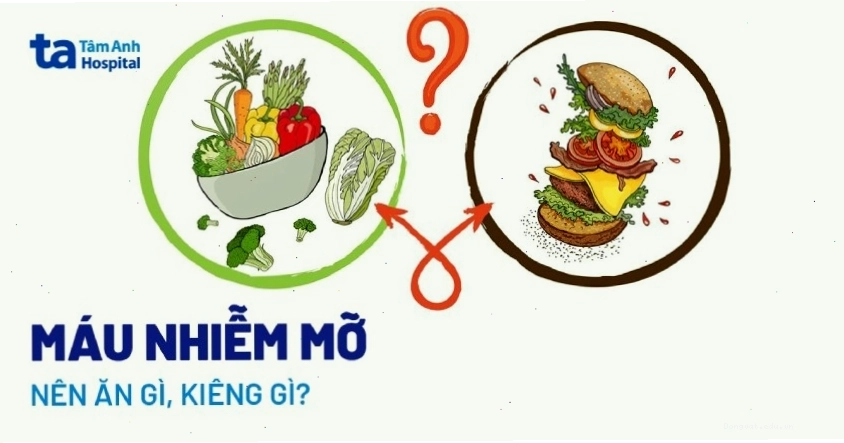Danh sách thực phẩm người máu nhiễm mỡ nên ăn và kiêng