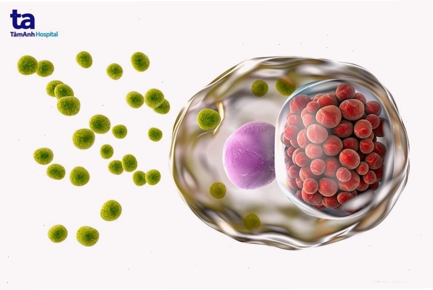 Dấu hiệu nhận biết bệnh chlamydia ở nữ giới và nam giới