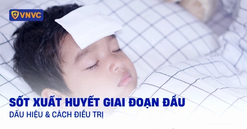 Dấu hiệu sốt xuất huyết giai đoạn đầu với cơn sốt cao đột ngột
