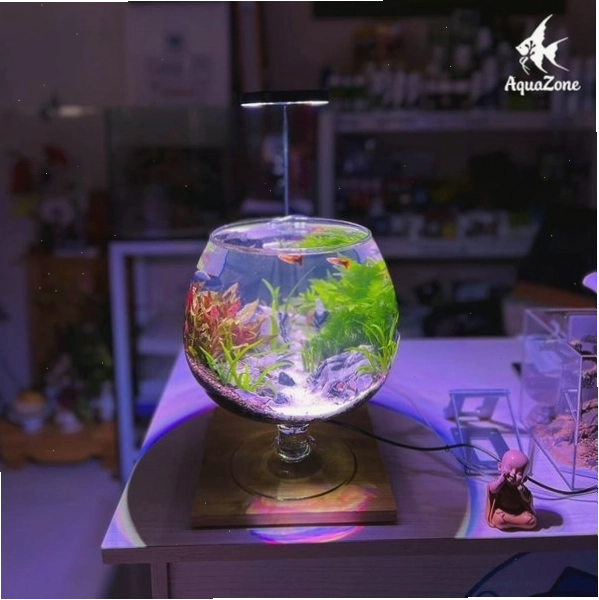 Dây điện bể cá mini có vòng nhỏ giọt và ổ cắm tránh nước