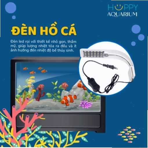 Đèn hồ cá cung cấp ánh sáng cần thiết cho sự phát triển màu sắc của cá