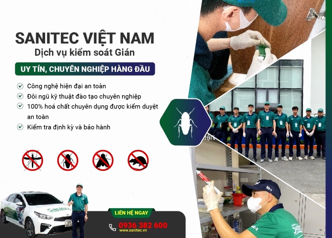 Dịch vụ diệt gián chuyên nghiệp giúp bảo vệ sức khỏe gia đình