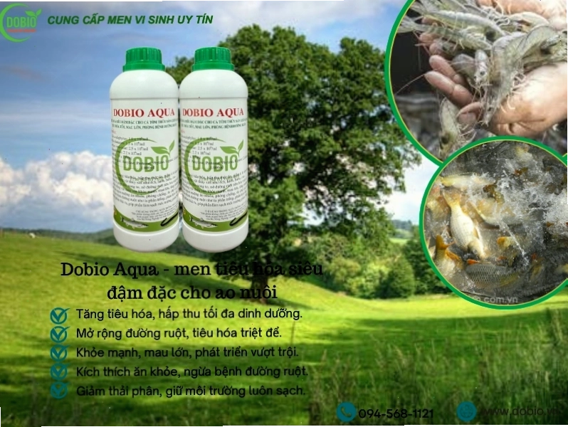 Dobio Aqua giúp tôm ăn tốt, mau lớn và giảm chi phí nuôi