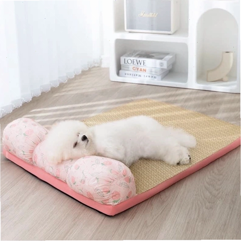DOG Family - Cửa hàng cung cấp đa dạng sản phẩm cho thú cưng