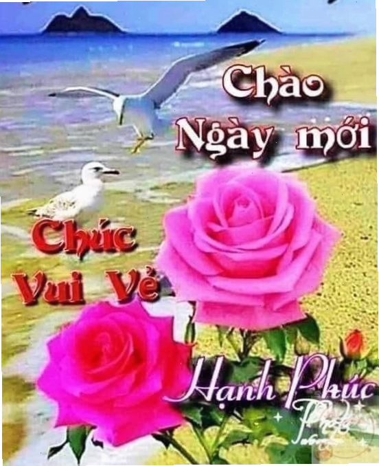 Dòng chữ ngắn gọn mở ra một ngày đầy hứng khởi