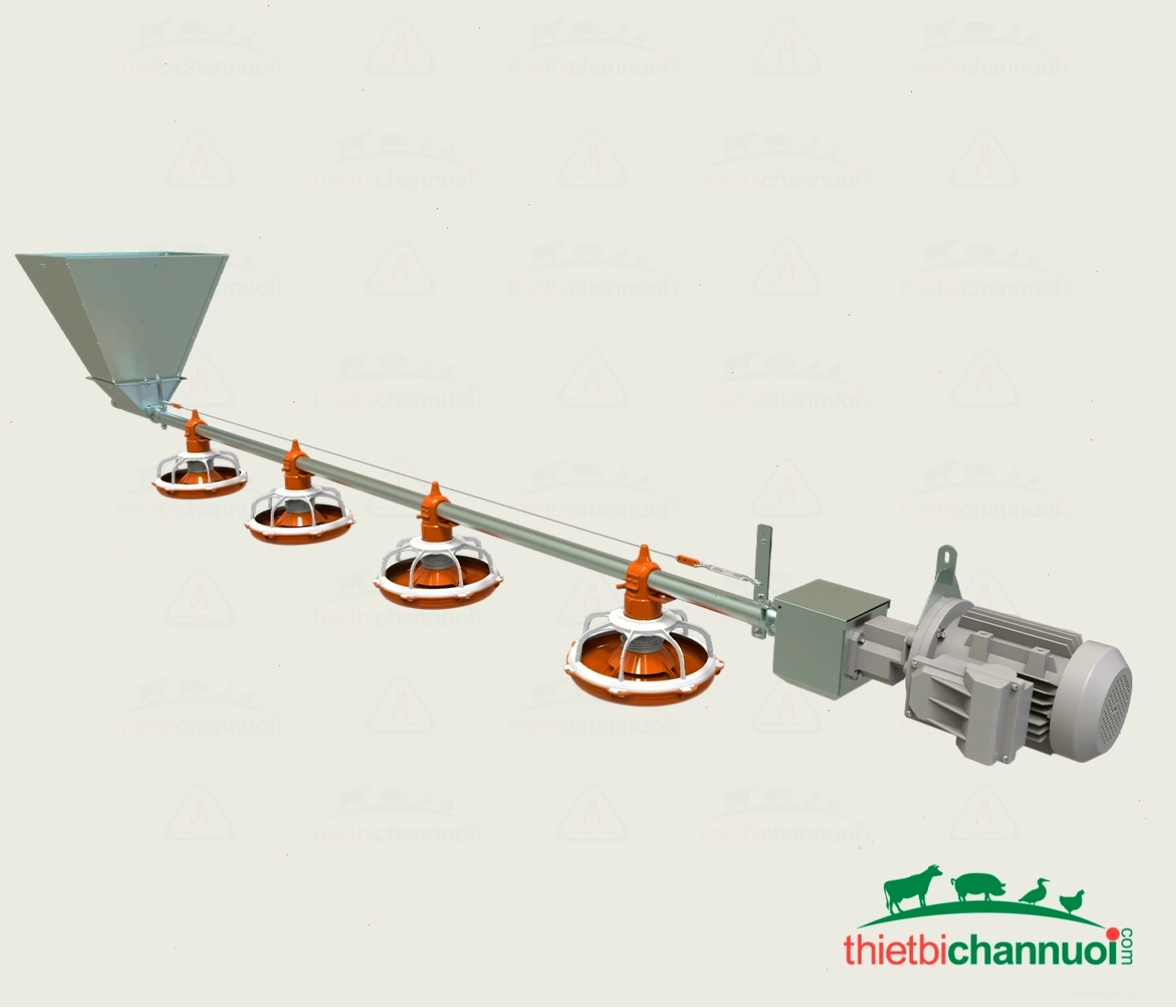 Đường dẫn ăn tự động cho gà trong chuồng nuôi