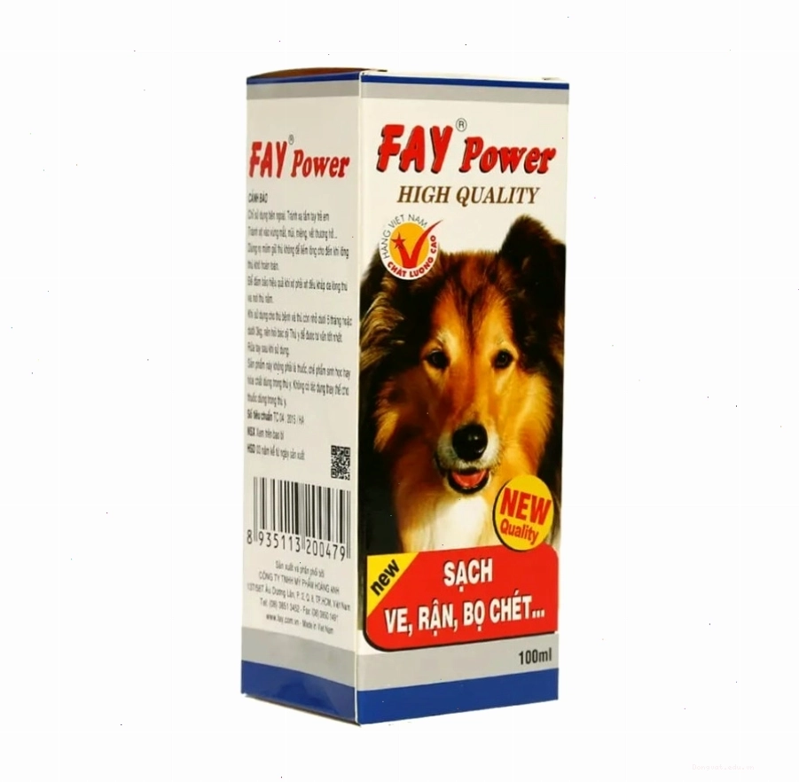 FAY Power