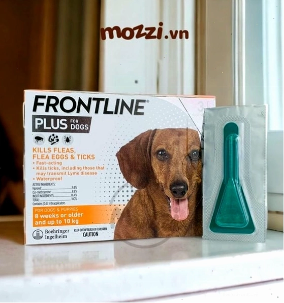 Frontline Plus