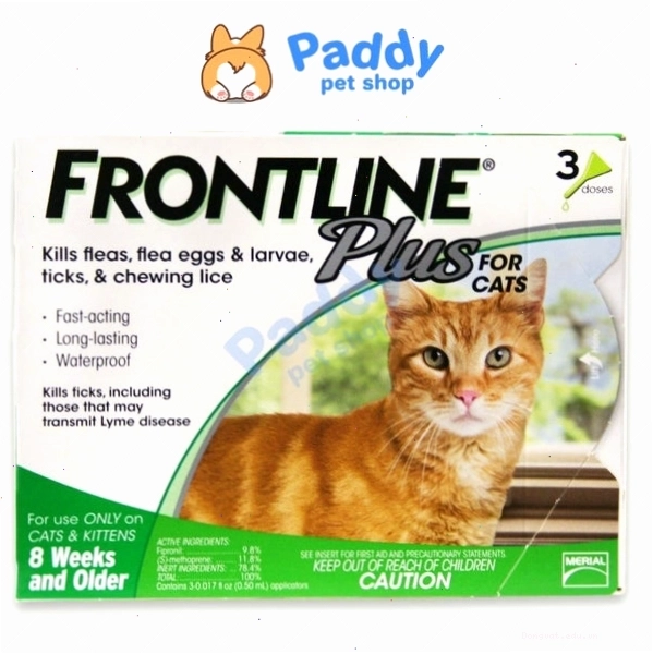 Frontline Plus cho mèo có thể hỗ trợ điều trị rận tai