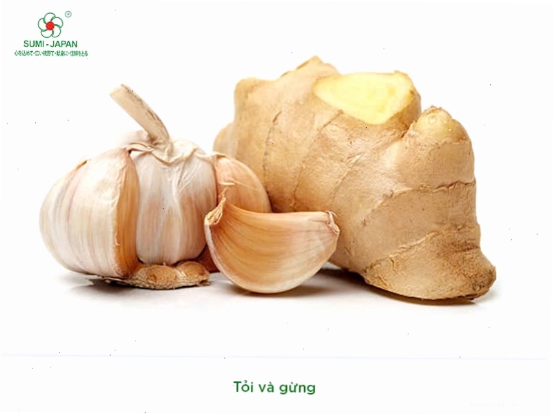 Gà chọi đang được chăm sóc sức khỏe với các bài thuốc dân gian