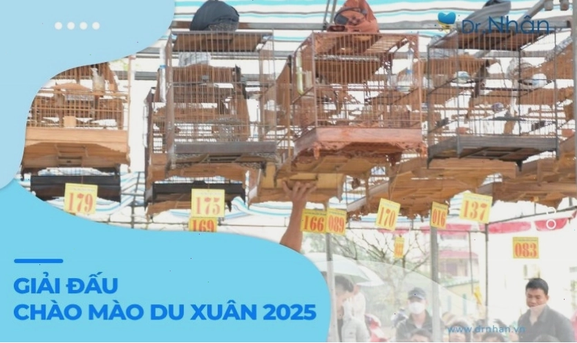 Giải đấu chào mào du xuân là hoạt động sôi nổi đầu năm