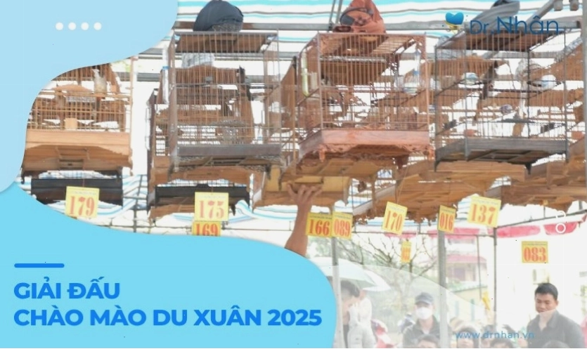 Giải đấu chào mào du xuân thu hút nhiều người tham gia