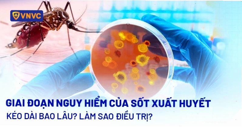 Giai đoạn nguy hiểm của sốt xuất huyết
