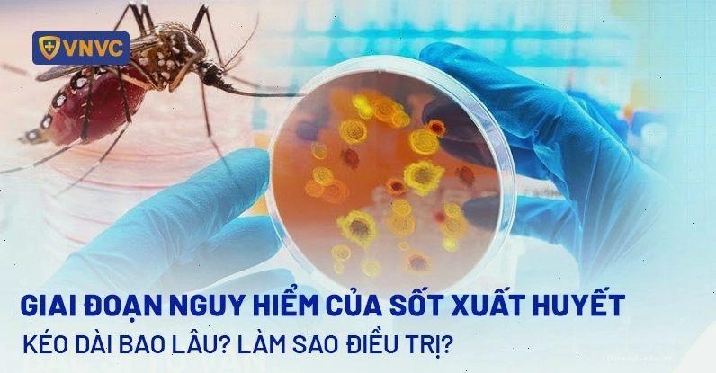 Giai đoạn nguy hiểm của sốt xuất huyết với các dấu hiệu cảnh báo biến chứng