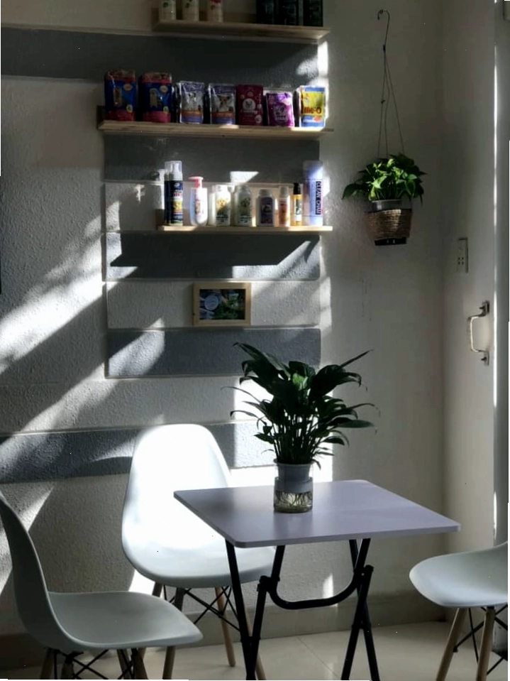 Giang Pomeranian House - Pet Coffee