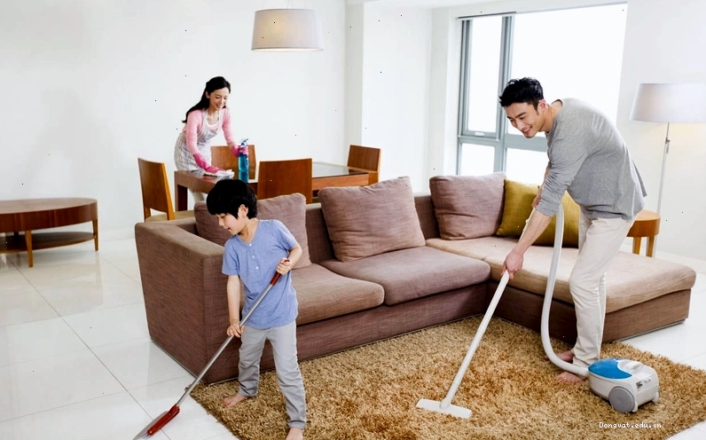 Giữ gìn vệ sinh nhà cửa sạch sẽ để phòng ngừa ve chó