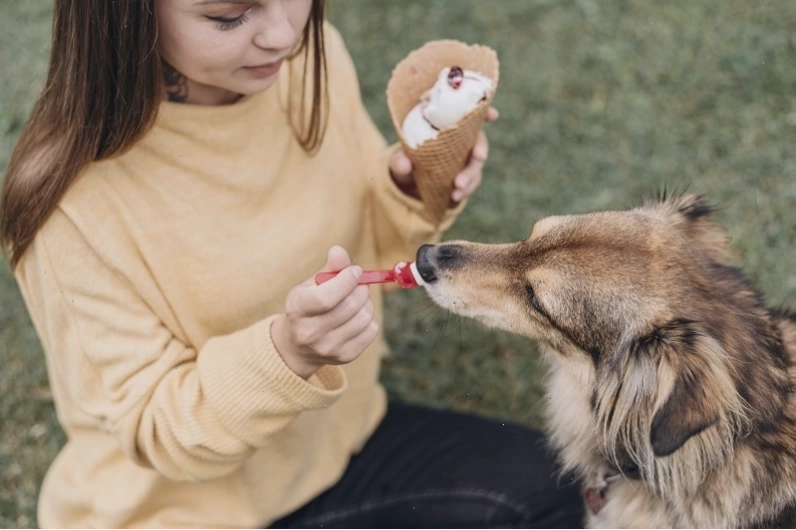 Giun đũa chó sinh sống trong ruột non chó