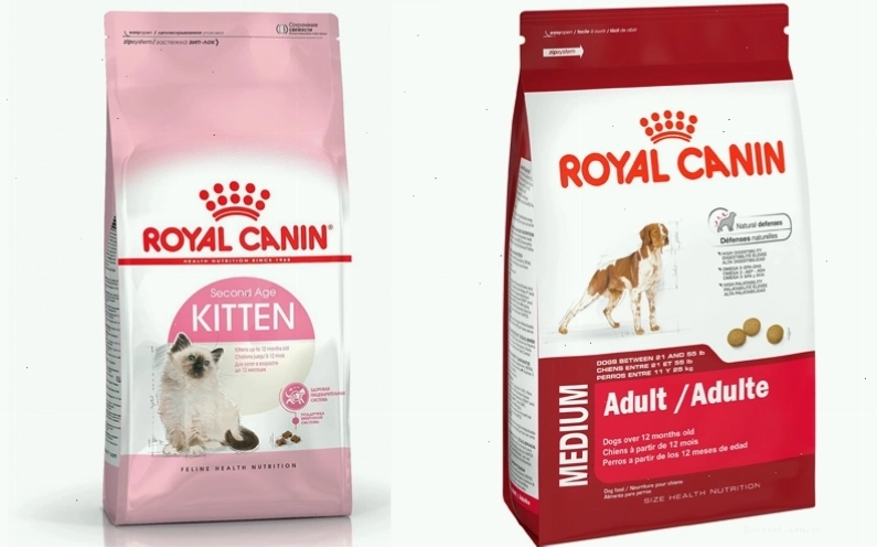 Hạt Royal Canin khô cho chó, dòng sản phẩm cao cấp từ Pháp