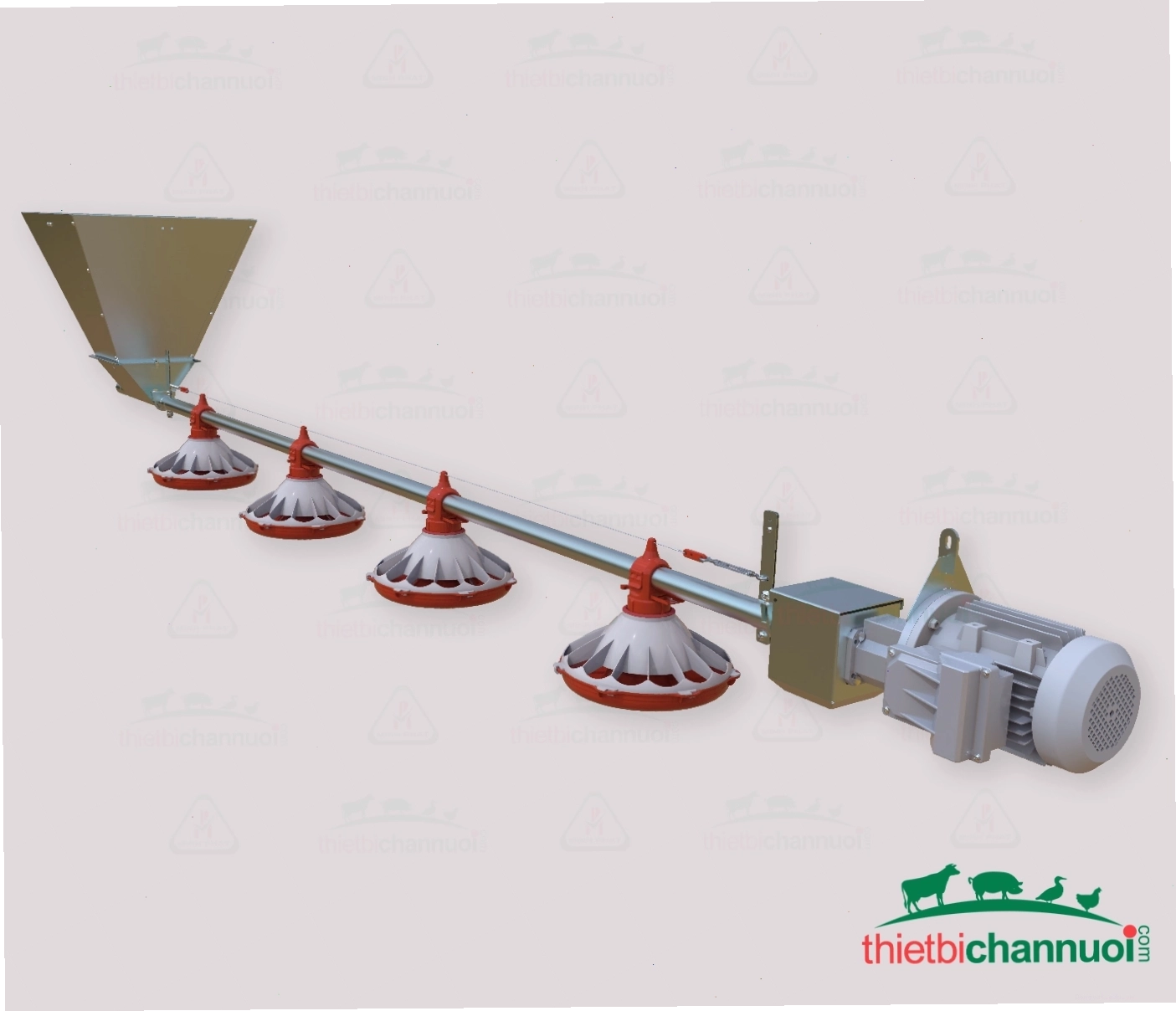 Hệ thống ăn tự động cho gia cầm