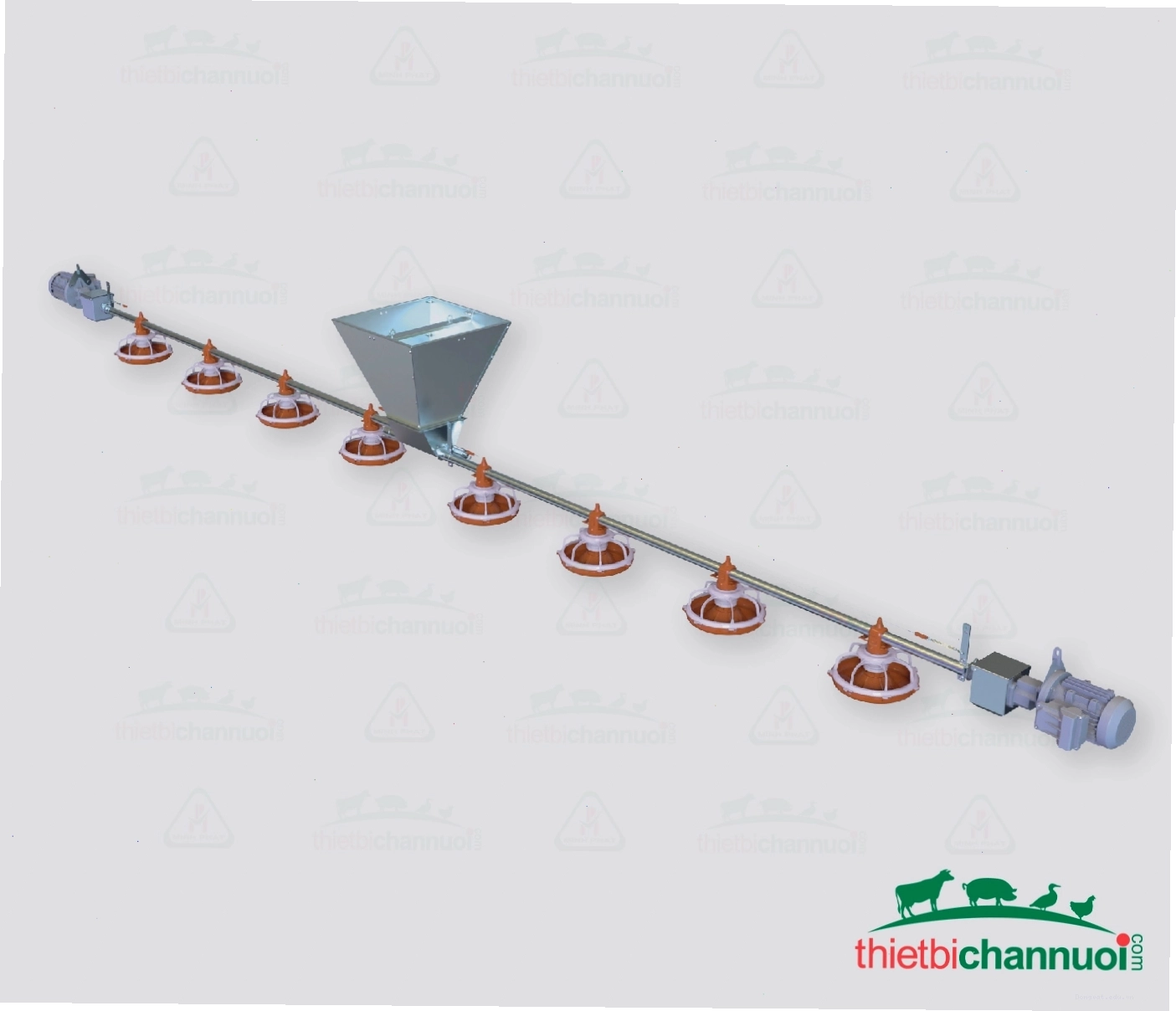 Hệ thống cấp thức ăn tự động cho gà