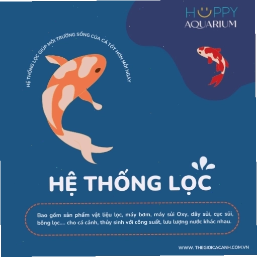 Hệ thống lọc nước cho bể cá betta