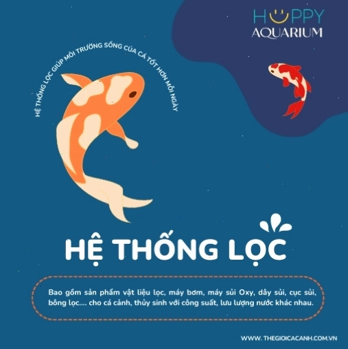 Hệ thống lọc nước hiệu quả cho bể cá cảnh