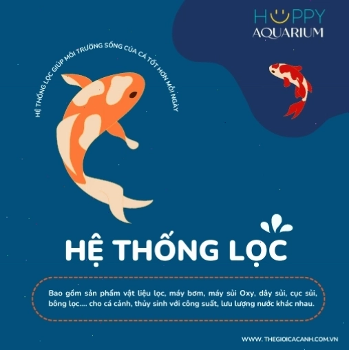 Hệ thống lọc nước hiệu quả cho bể cá cảnh