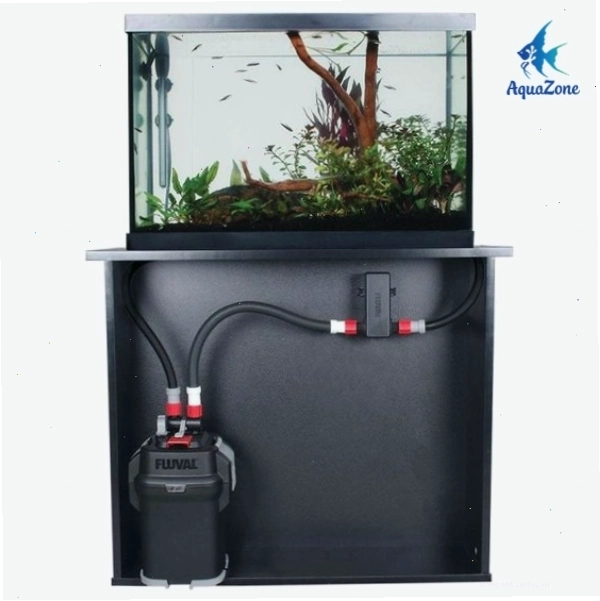 Hệ thống lọc thùng đặt ngoài hồ, đảm bảo hiệu quả lọc tối ưu
