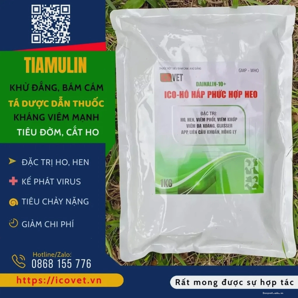 Heo bị bệnh hô hấp phức hợp, có thể bao gồm Glässer