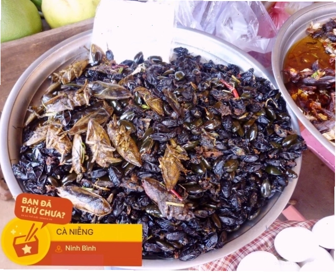 Hình ảnh con cà niễng chế biến sẵn