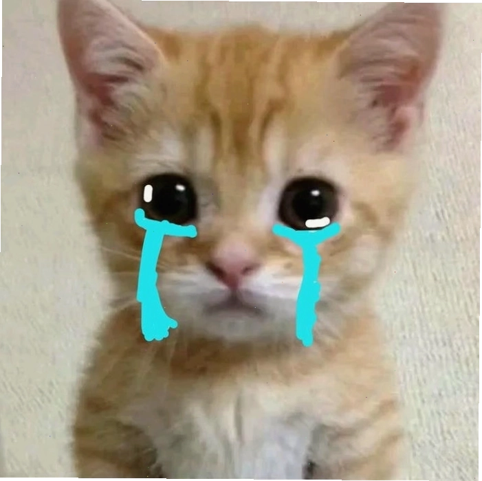 Hình ảnh meme mèo khóc cực hài với biểu cảm ngơ ngác