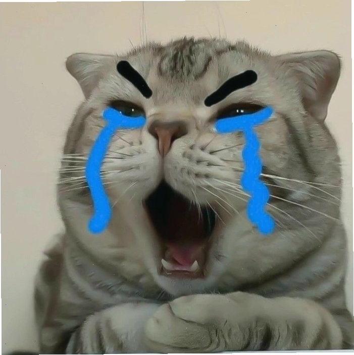 Hình ảnh meme mèo khóc đẹp