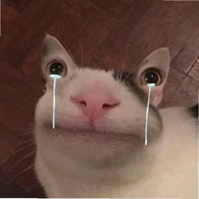 Hình ảnh meme mèo khóc được chế