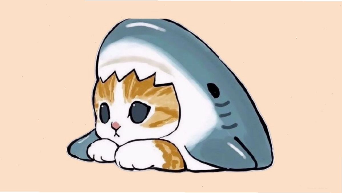 Hình ảnh mèo chibi đang nằm cuộn tròn đáng yêu