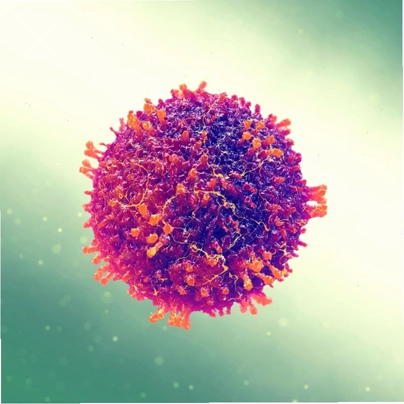 Hình ảnh virus gây bệnh HIV dưới kính hiển vi