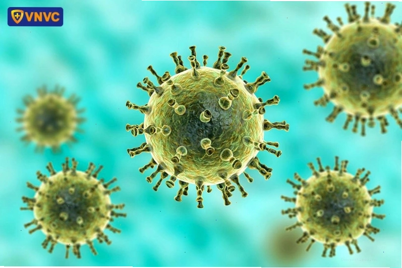 Hình ảnh virus Varicella Zoster, tác nhân gây bệnh thủy đậu và zona