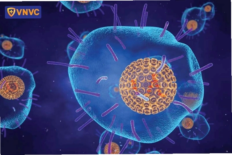 Hình ảnh virus VZV gây bệnh giời leo dưới kính hiển vi