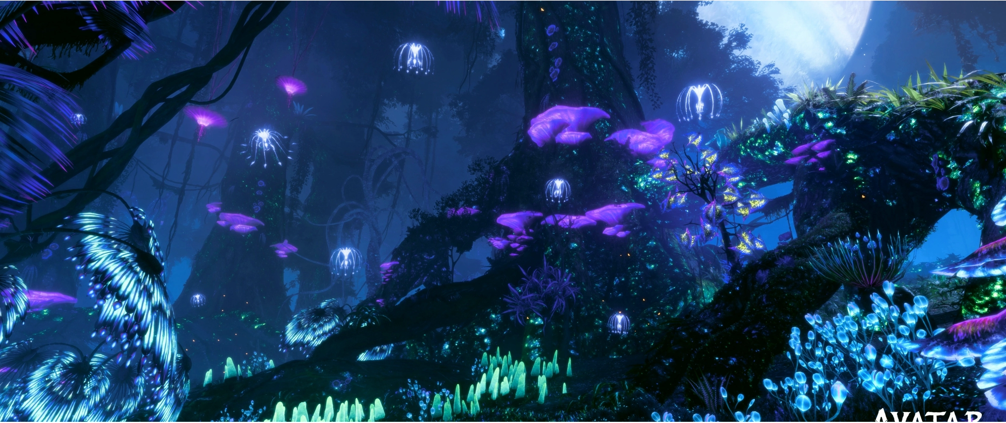 Hình nền Avatar Frontiers of Pandora 4K, nhân vật Loak trên nền thiên nhiên kỳ vĩ