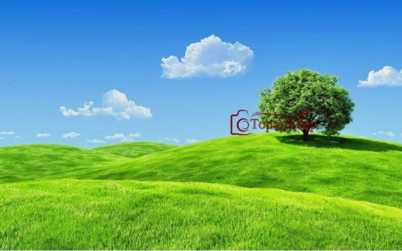 Hình nền xe hơi phong cách tối giản