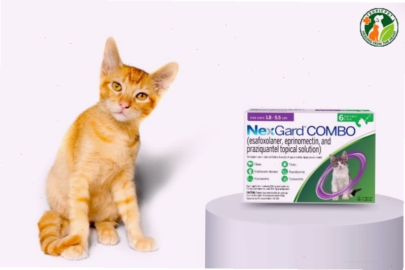 Hộp thuốc tẩy giun kết hợp NexGard Combo cho mèo