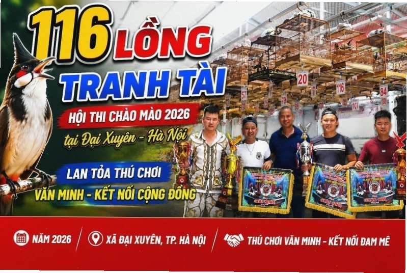 Huấn luyện chim chào mào bay vào tay người